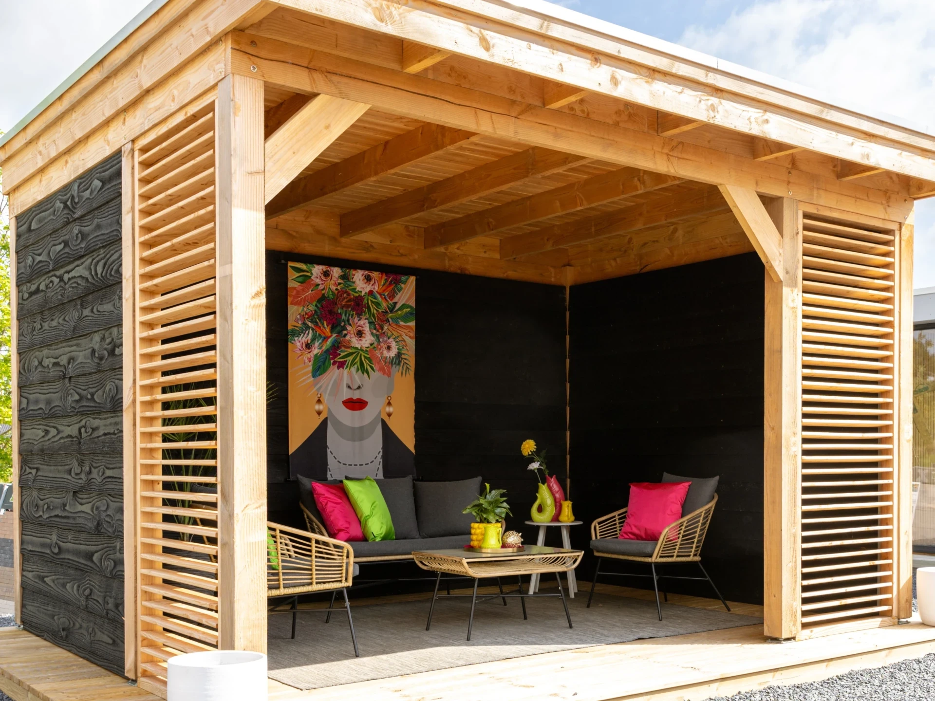 Douglas overkapping, 500 x 250, Met achterwand en zijwand, Westwood DIY zwart - Afbeelding 2
